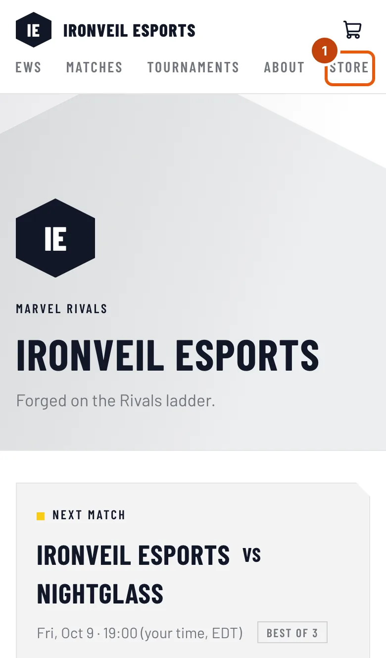 A team's site, with Store outlined in its menu.