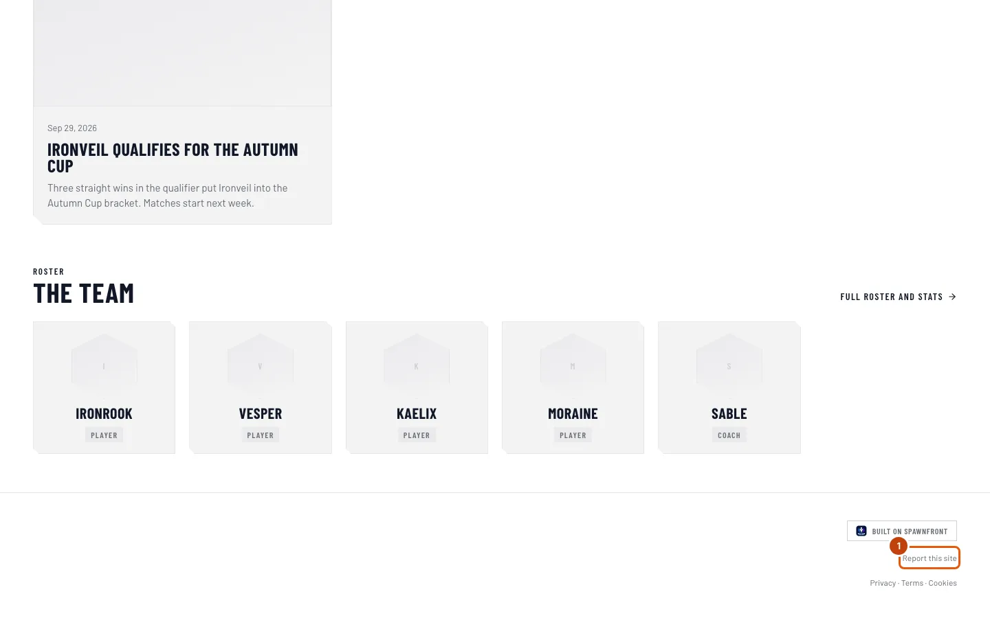 The footer of a team's site, with Report this site outlined.