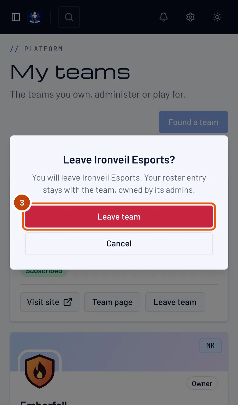 The Leave box, with its Leave team button outlined.